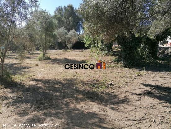 TERRENO URBANO EN EL CARRAIXET - VALENCIA