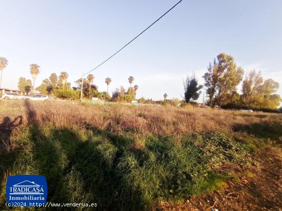  PARCELA DE TIERRA DE 1.420 METROS RÚSTICA COLONIA DE CAULINA - CADIZ 