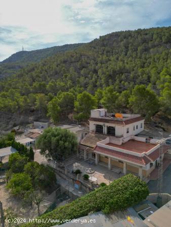 INCREIBLE PARCELA CON VARIAS CONSTRUCCIONES E INFINITAS POSIBILIDADES EN ARNEVA. - ALICANTE