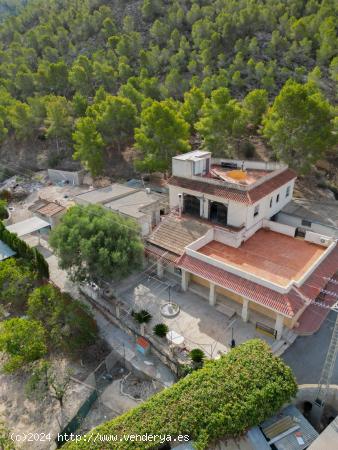 INCREIBLE PARCELA CON VARIAS CONSTRUCCIONES E INFINITAS POSIBILIDADES EN ARNEVA. - ALICANTE