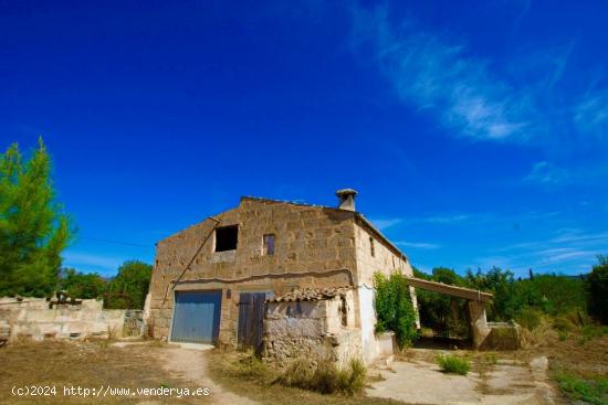 SE VENDE FINCA RÚSTICA JUSTO A LA SALIDA DE INCA - BALEARES