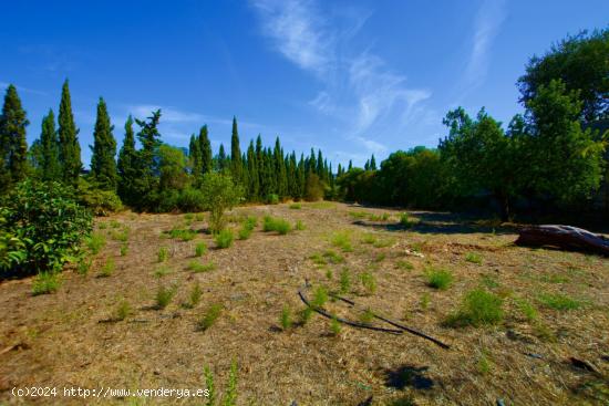 SE VENDE FINCA RÚSTICA JUSTO A LA SALIDA DE INCA - BALEARES