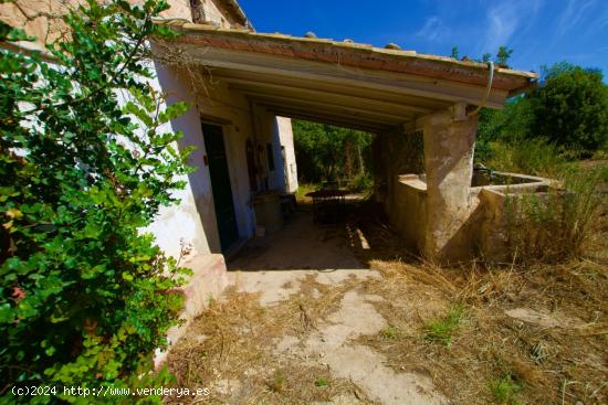 SE VENDE FINCA RÚSTICA JUSTO A LA SALIDA DE INCA - BALEARES