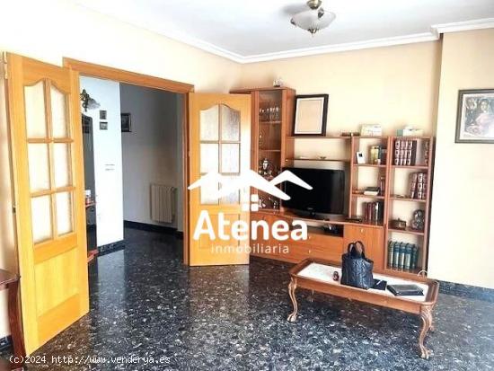 APARTAMENTO EN EL CENTRO - ALBACETE