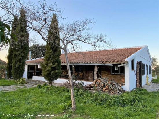 Espectacular Finca Rústica de 40 Hectáreas - CIUDAD REAL