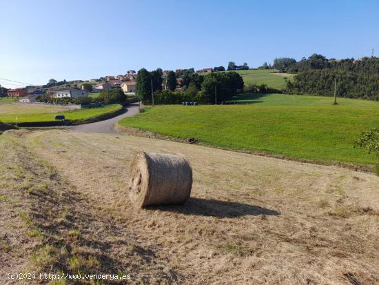 Oportunidad de Inversión: Terreno Urbano en Gozón, San Martin de Podes - ASTURIAS