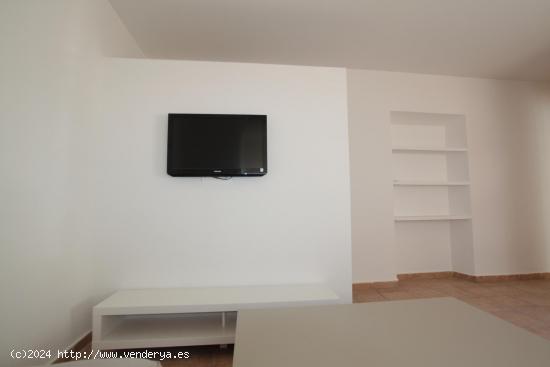 Apartamento en Zona Paseo del Salón ALQUILER SOLO POR TEMPORADA - GRANADA