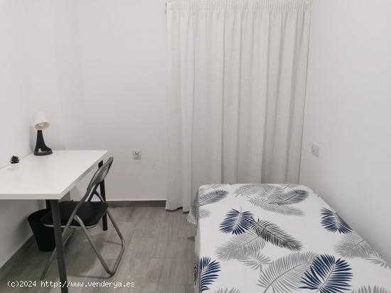 ALQUILER DE PISO RECIÉN REFORMADO 800€ - 3 DORMITORIOS - CALLE SERRETA. IDEAL PARA ESTUDIANTES - 