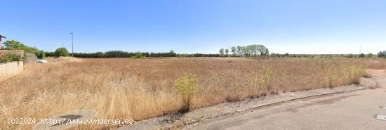 Oportunidad de terreno en la Urbanización Mansilla del Esla - LEON