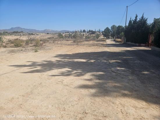 TERRENO RÚSTICO EN MOLINA DE SEGURA - MURCIA