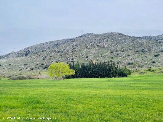 Finca en venta en Antequera (Málaga)