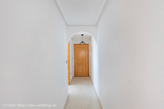 Apartamento en venta en Torrevieja (Alicante)