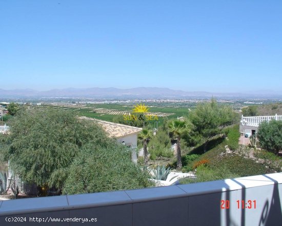 Piso en alquiler en Algorfa (Alicante)