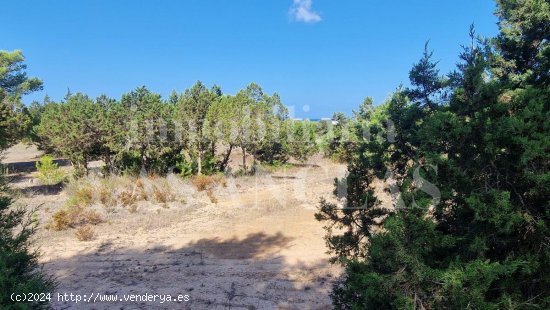 Parcela en venta en Sant Josep de sa Talaia (Baleares)