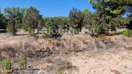 Parcela en venta en Sant Josep de sa Talaia (Baleares)