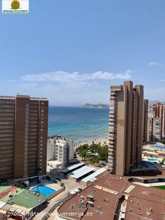 BENIDORM APARTAMENTO ZONA RINCÓN LLANO CON PARKING Y PISCINA A 200M del MAR!!! - ALICANTE