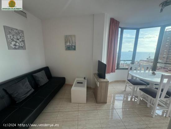 BENIDORM APARTAMENTO ZONA RINCÓN LLANO CON PARKING Y PISCINA A 200M del MAR!!! - ALICANTE