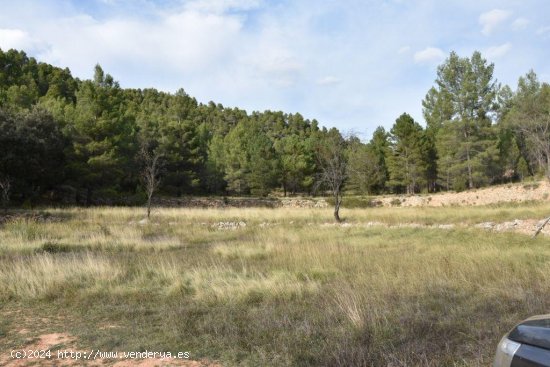 Finca en venta en La Cerollera (Teruel)