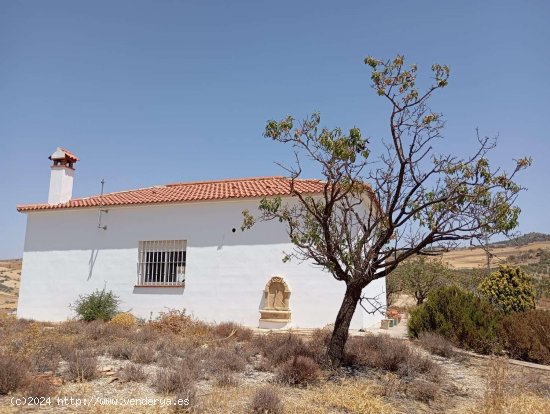 Finca en venta en Álora (Málaga)