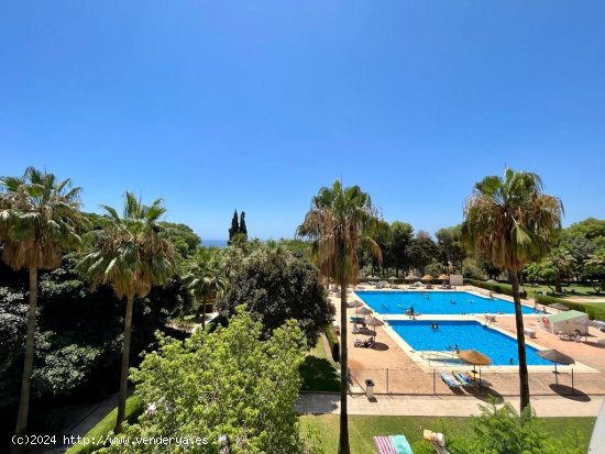 Apartamento en alquiler en Benalmádena (Málaga)