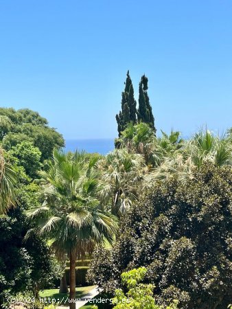 Apartamento en alquiler en Benalmádena (Málaga)