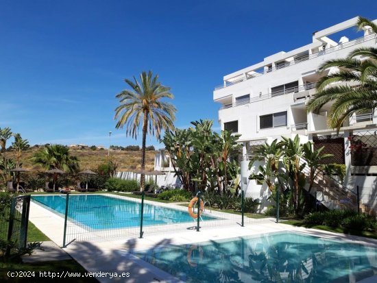 Apartamento en alquiler en Mijas (Málaga)