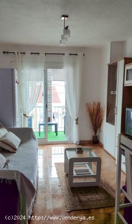 Apartamento en alquiler en Torrevieja (Alicante)