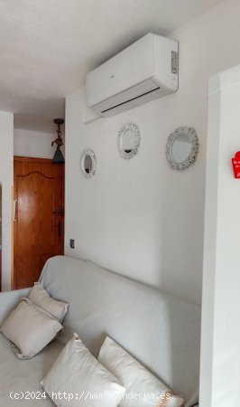 Apartamento en alquiler en Torrevieja (Alicante)