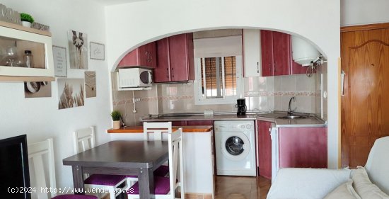 Apartamento en alquiler en Torrevieja (Alicante)