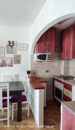 Apartamento en alquiler en Torrevieja (Alicante)