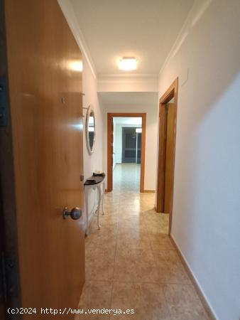 OPORTUNIDAD ALQUILER APARTAMENTO MOLINA SE SEGURA!!!! - MURCIA