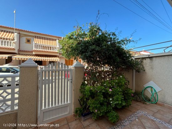 Casa en alquiler en Pilar de la Horadada (Alicante)