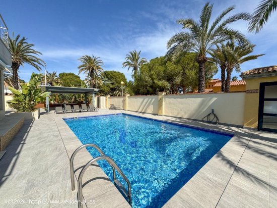 Chalet en alquiler en Orihuela (Alicante)