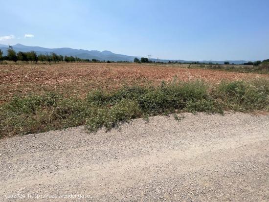 SE VENDE FINCA RUSTICA  DE 3000 M2 EN LAS CHANAS DE CAMPONARAYA - LEON