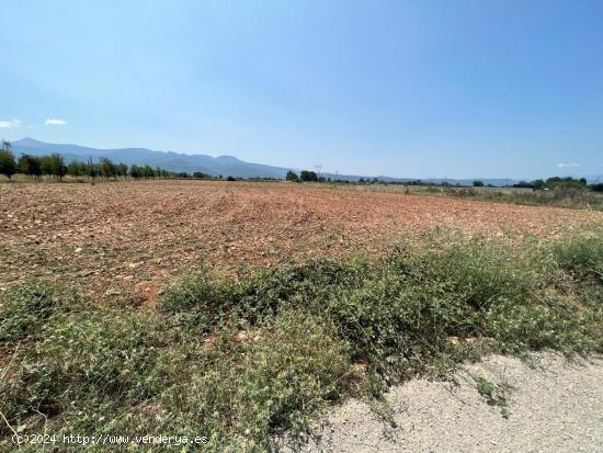 SE VENDE FINCA RUSTICA  DE 3000 M2 EN LAS CHANAS DE CAMPONARAYA - LEON