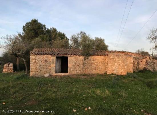 FINCA CON CASITA PARA REFORMAR - BALEARES