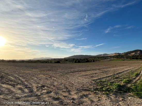 Finca rústica en Porreres en venta - BALEARES