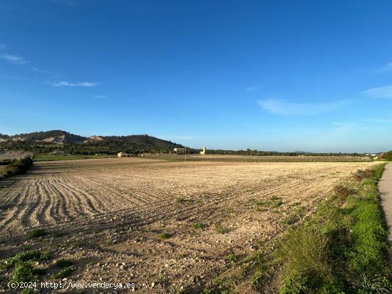 Finca rústica en Porreres en venta - BALEARES