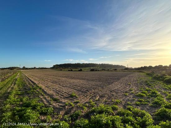 Finca rústica en Porreres en venta - BALEARES