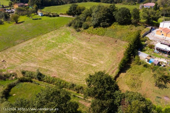 Finca en venta en Oviedo (Asturias)