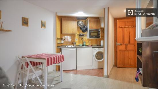 Apartamento de 1 dormitorio en alquiler en Lavapiés - MADRID