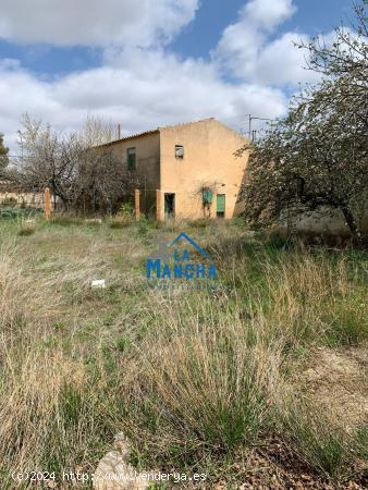 INMOBILIARIA LA MANCHA VENDE TERRENO/PARCELA EN LA GINETA - ALBACETE