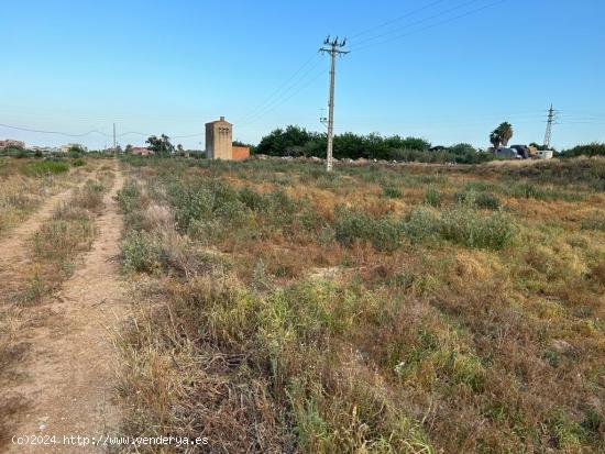 25.000 M2 de TERRENO EN VILASSAR DE MAR! - BARCELONA