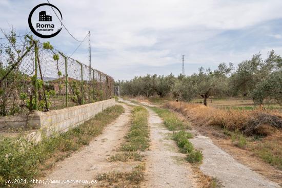  VENTA TERRENO RURAL -- CAMPO GOLF LAS GABIAS - GRANADA 