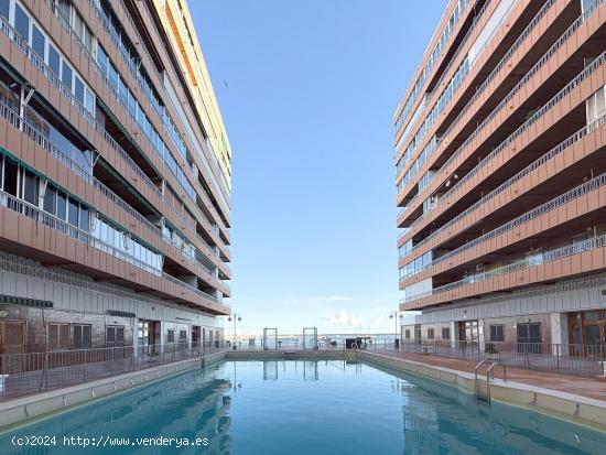 Apartamento en primera linea con increíbles vistas panorámicas a torrevieja y al mar - ALICANTE