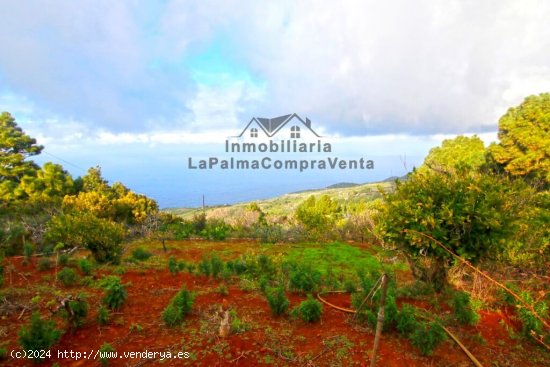 Casa de campo-Masía en Venta en Llano Negro Santa Cruz de Tenerife