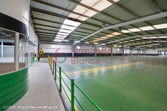 Nave Industrial Venta Erandio Bizkaia