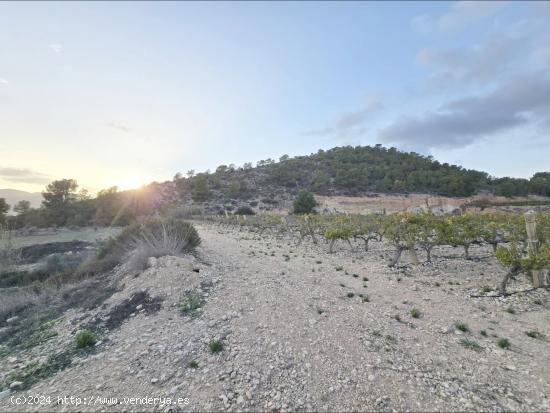 Parcela en La Romana - ALICANTE