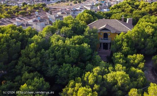 VILLA DE LUJO EN CIUDAD QUESADA  UNICA EN LA ZONA - ALICANTE