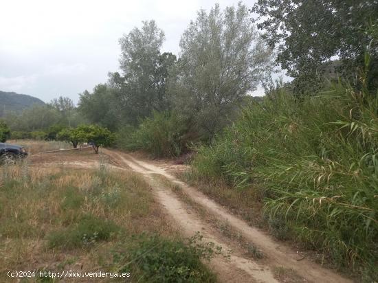 OPORTUNIDAD FINCA DE REGADIO EN MIRAVET CON ACCESO DIRECTO AL RIO EBRO. - TARRAGONA